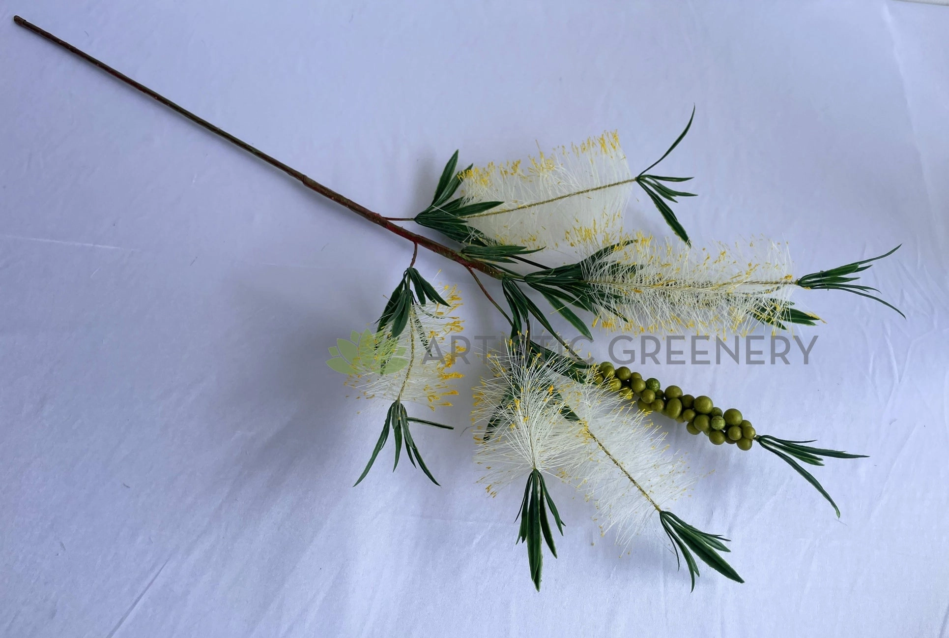F0353 Bottle Brush / Callistemon 79cm Cream