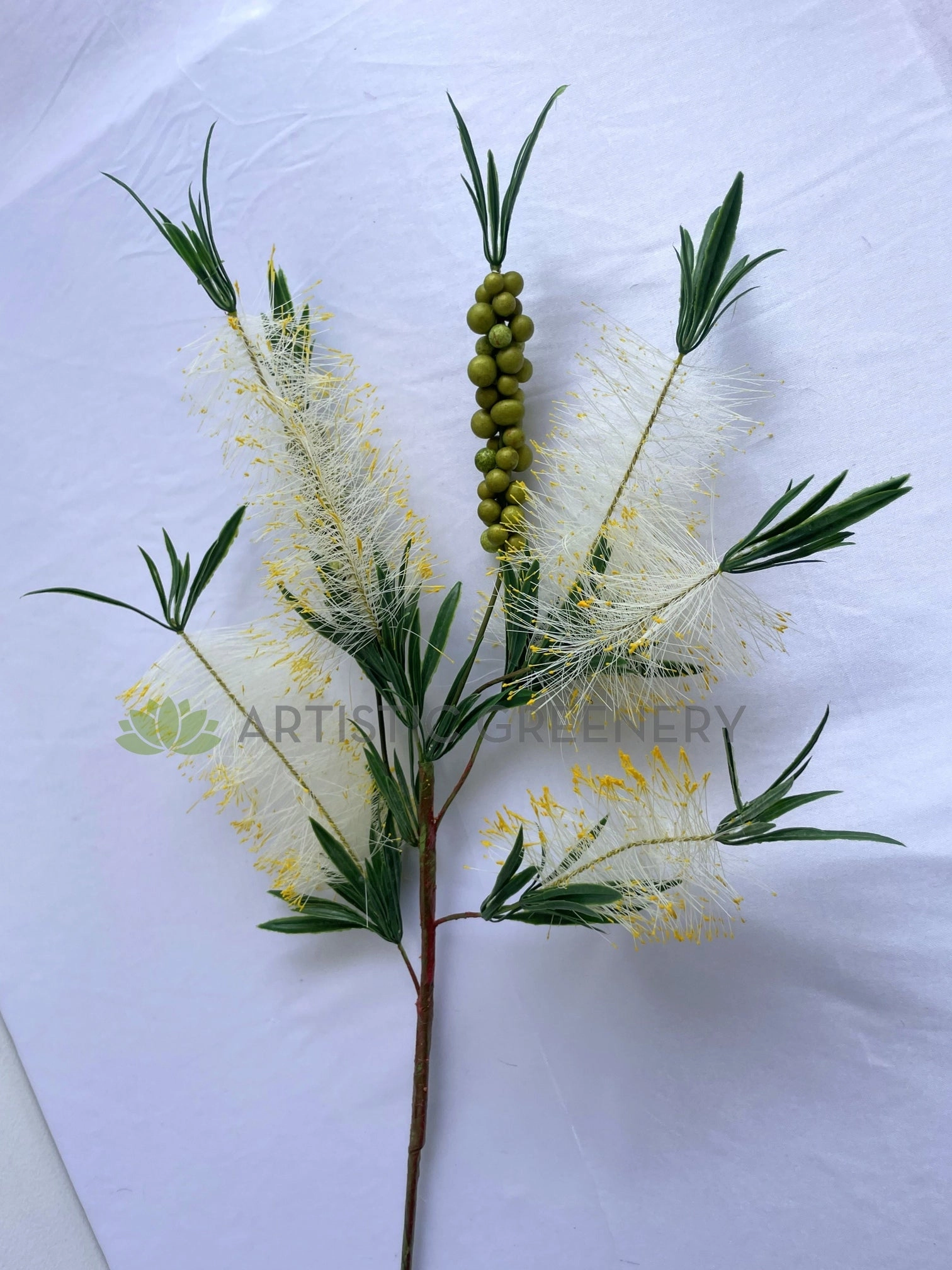 F0353 Bottle Brush / Callistemon 79cm Cream