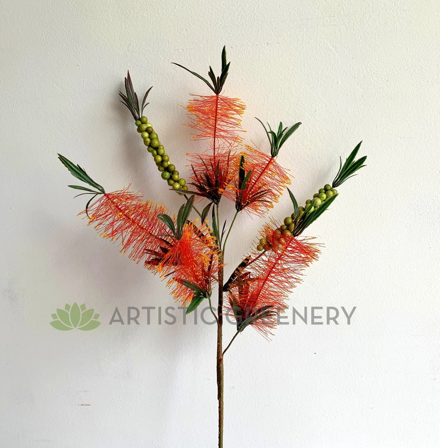 F0353 Bottle Brush / Callistemon 79cm Red