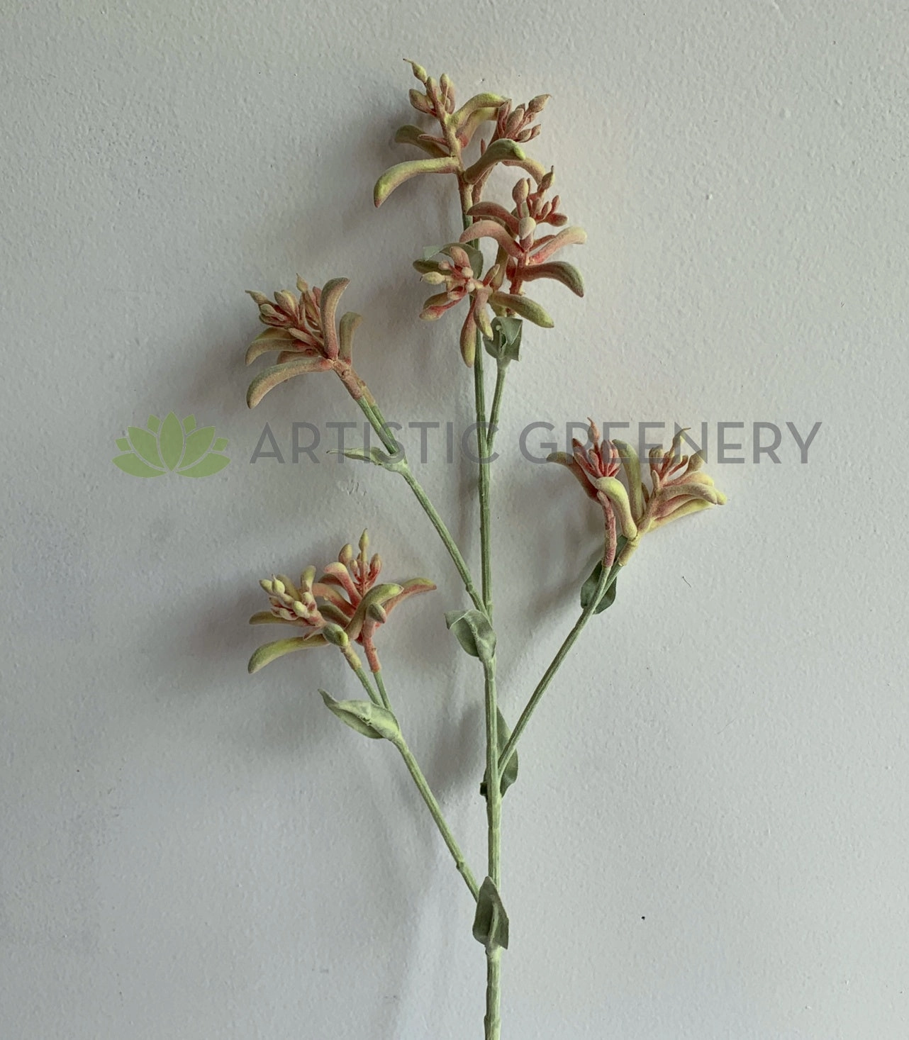 F0355 Kangaroo Paw Spray 77cm Light Pink