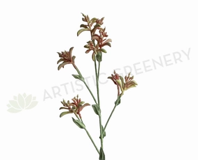 F0355 Kangaroo Paw Spray 77cm Light Pink outdoor greenery  