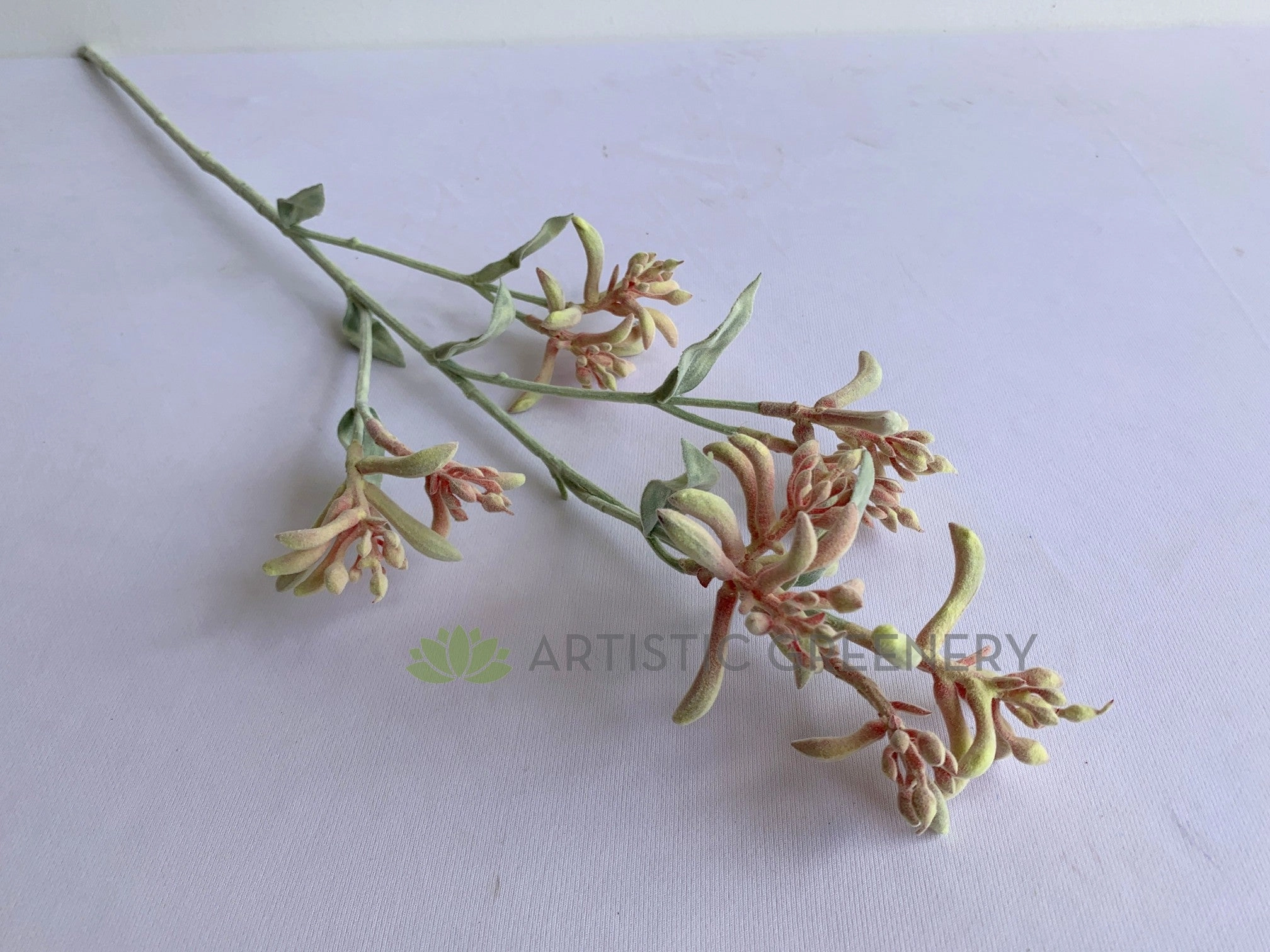 F0355 Kangaroo Paw Spray 77cm Light Pink
