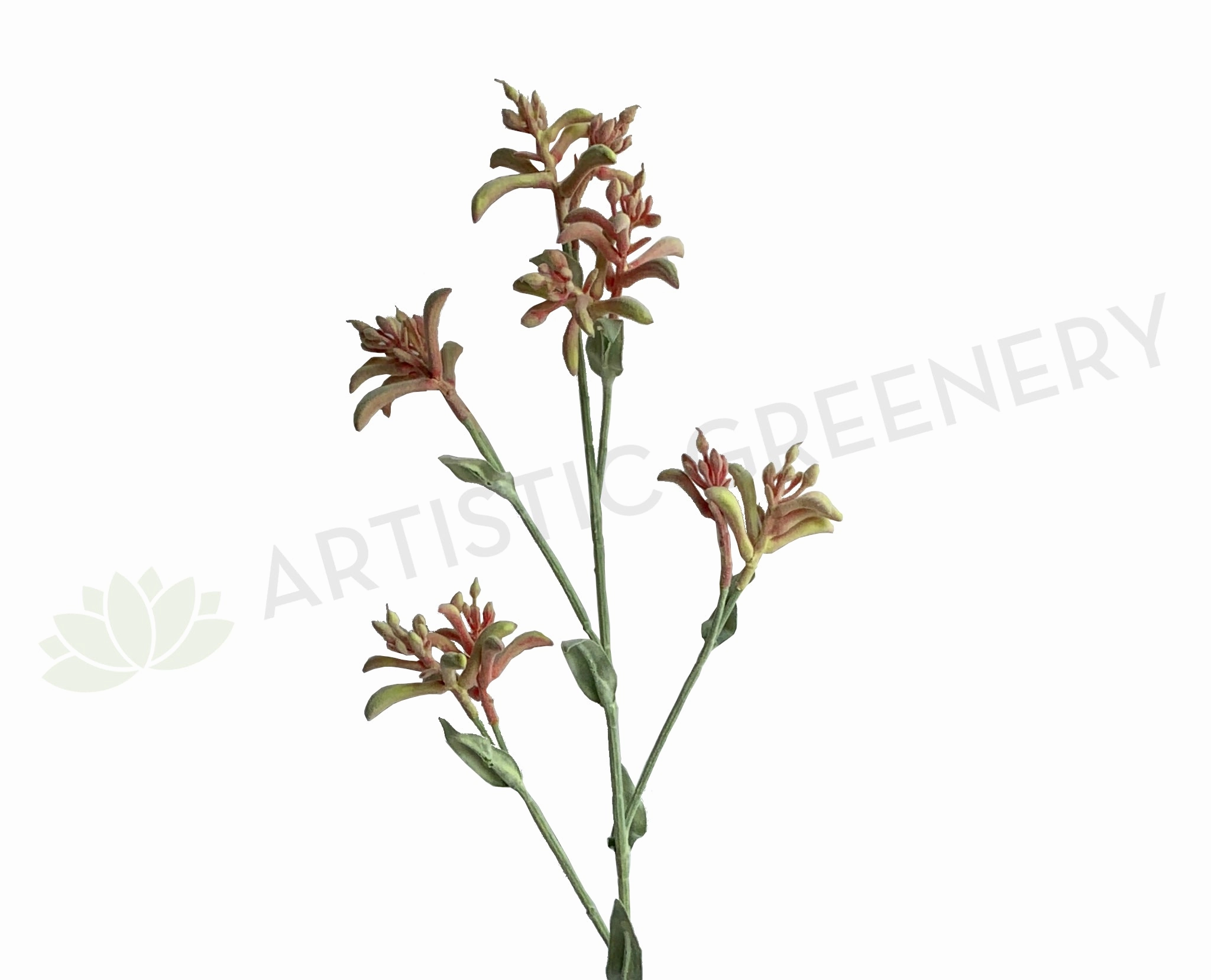 F0355 Kangaroo Paw Spray 77cm Light Pink outdoor greenery  