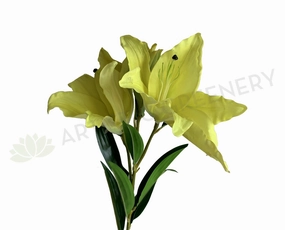 F0356 Casablanca Lily (Latex) 104cm Yellow outdoor greenery  