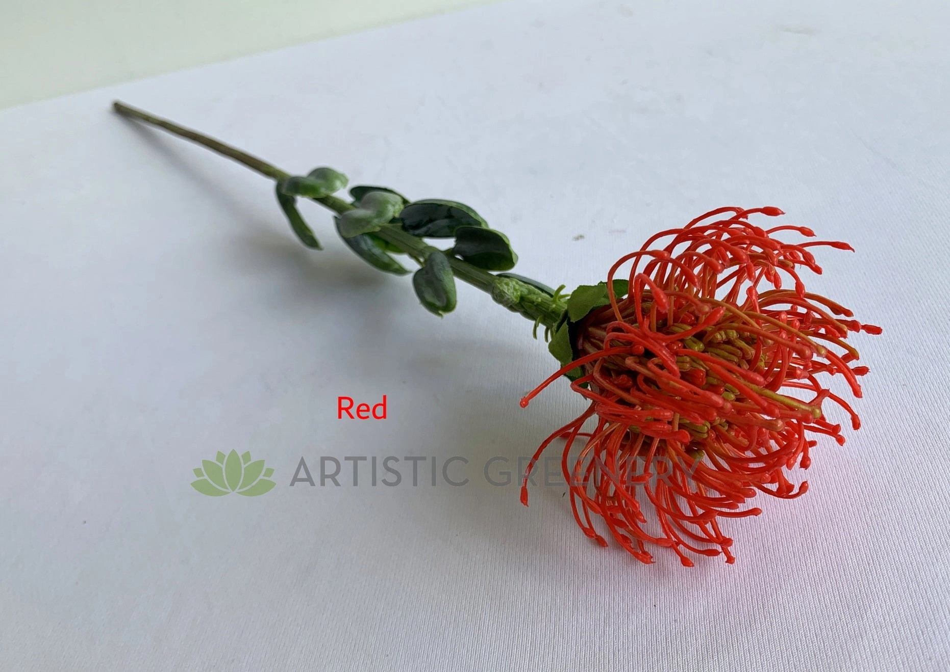 F0360 Pincushion Protea with Leaves 61cm 5 Colours