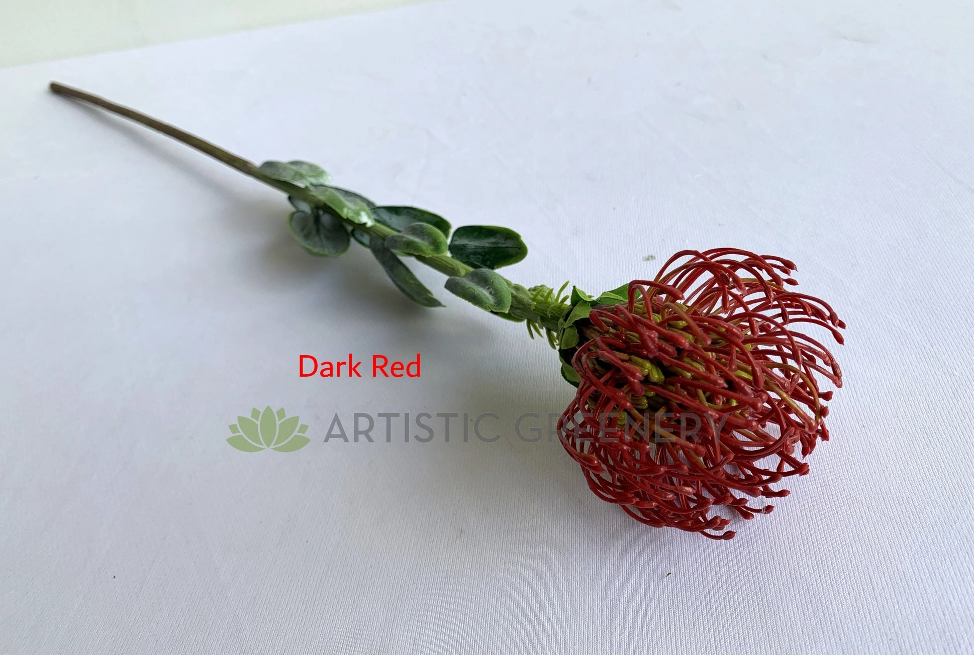F0360 Pincushion Protea with Leaves 61cm 5 Colours