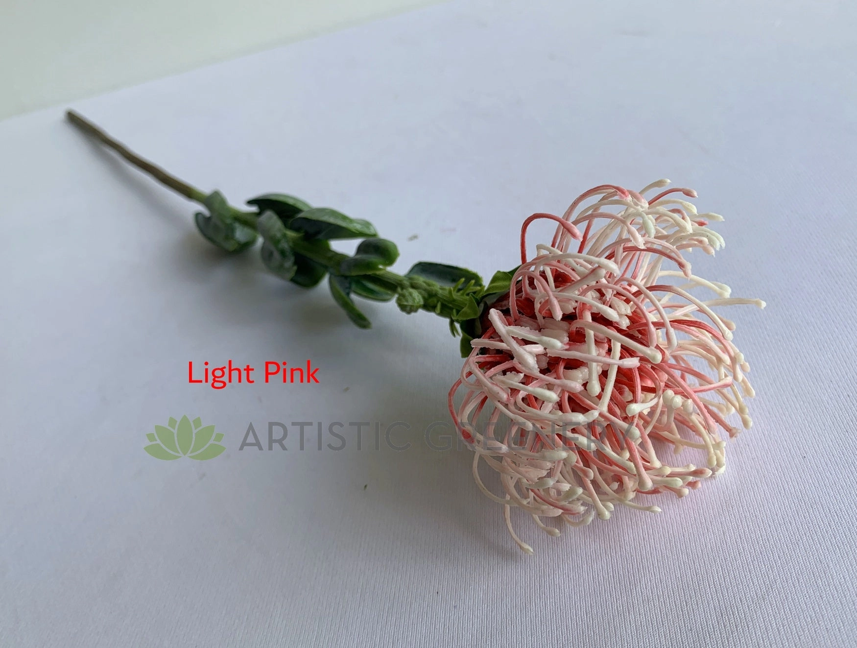 F0360 Pincushion Protea with Leaves 61cm 5 Colours
