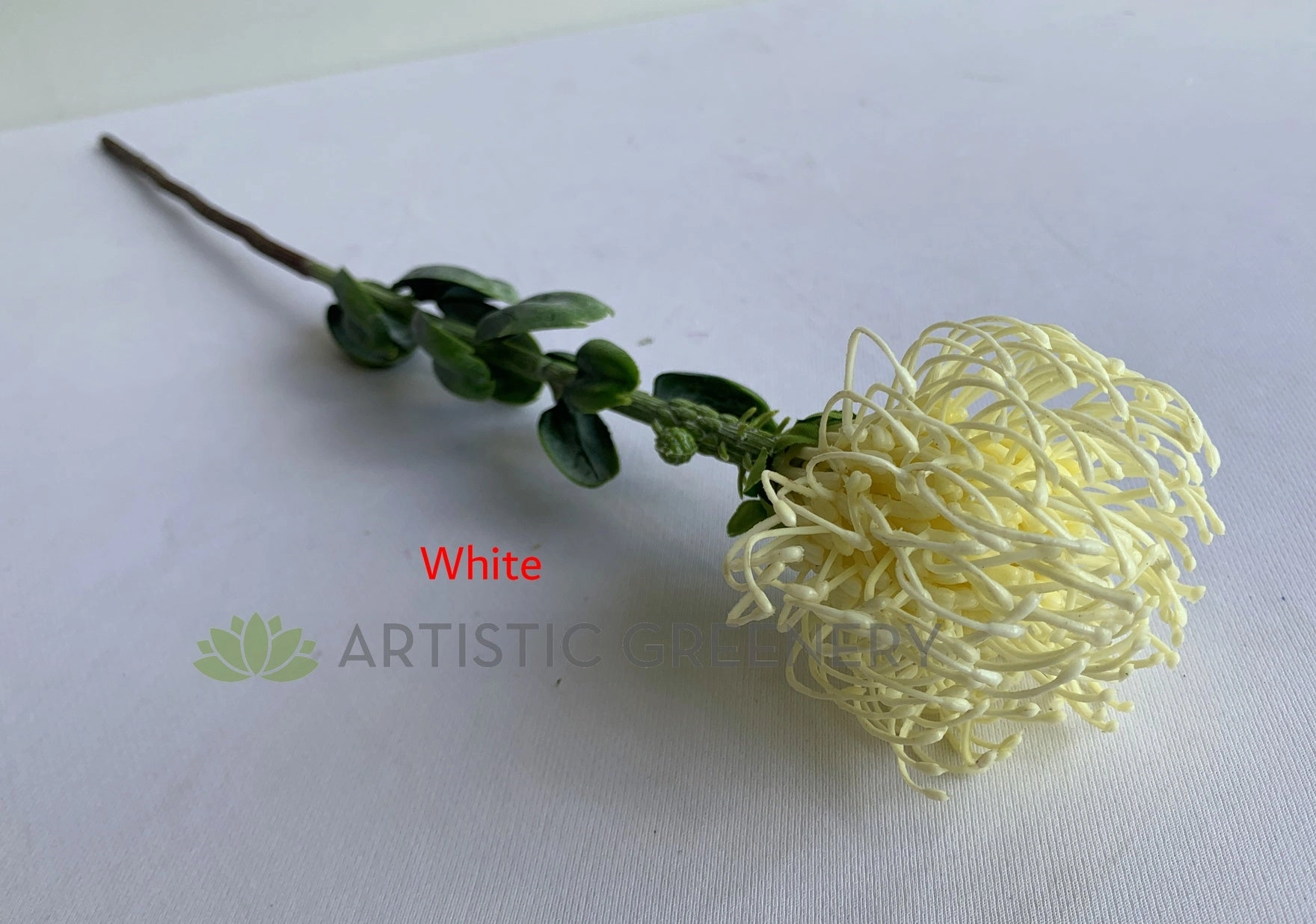 F0360 Pincushion Protea with Leaves 61cm 5 Colours