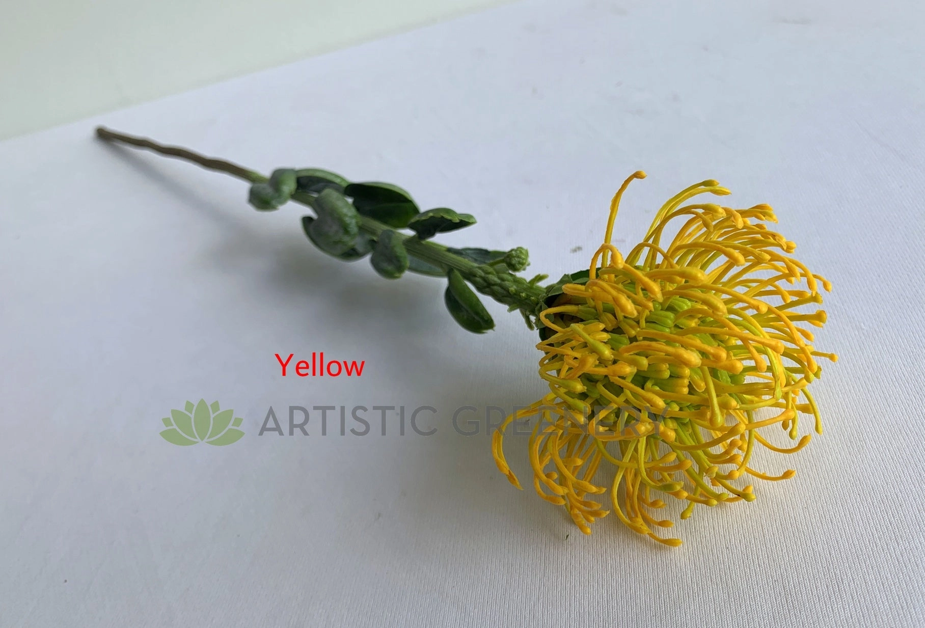 F0360 Pincushion Protea with Leaves 61cm 5 Colours