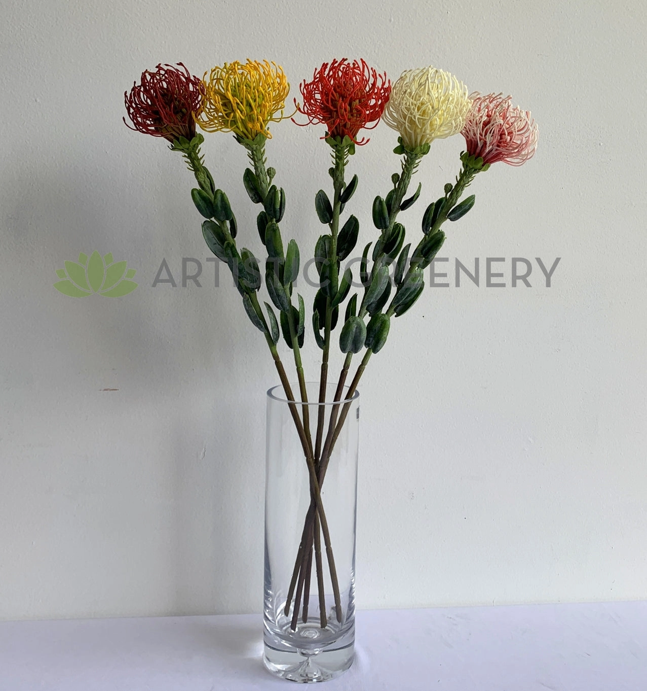 F0360 Pincushion Protea with Leaves 61cm 5 Colours
