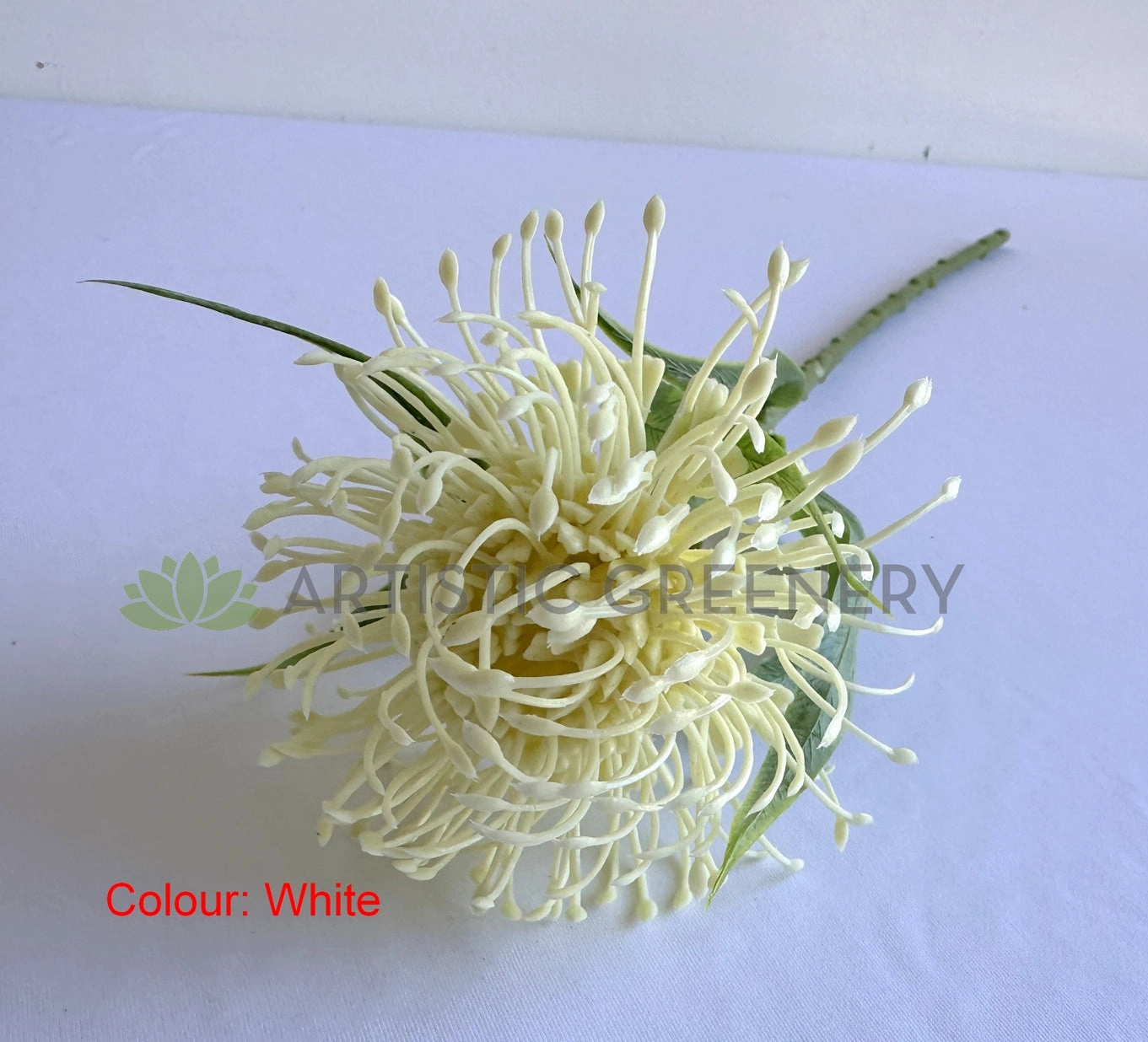 F0360-S92 Pincushion Protea with Leaves 52cm 3 Colours