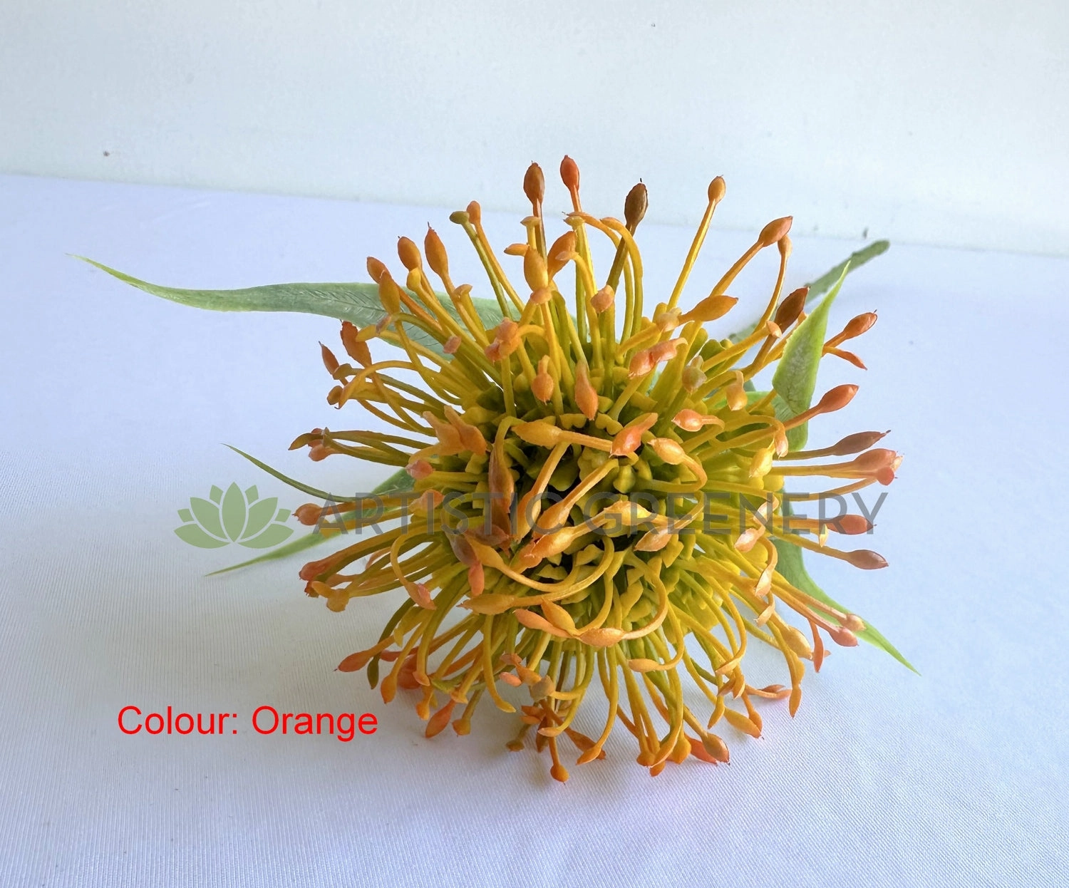 F0360-S92 Pincushion Protea with Leaves 52cm 3 Colours