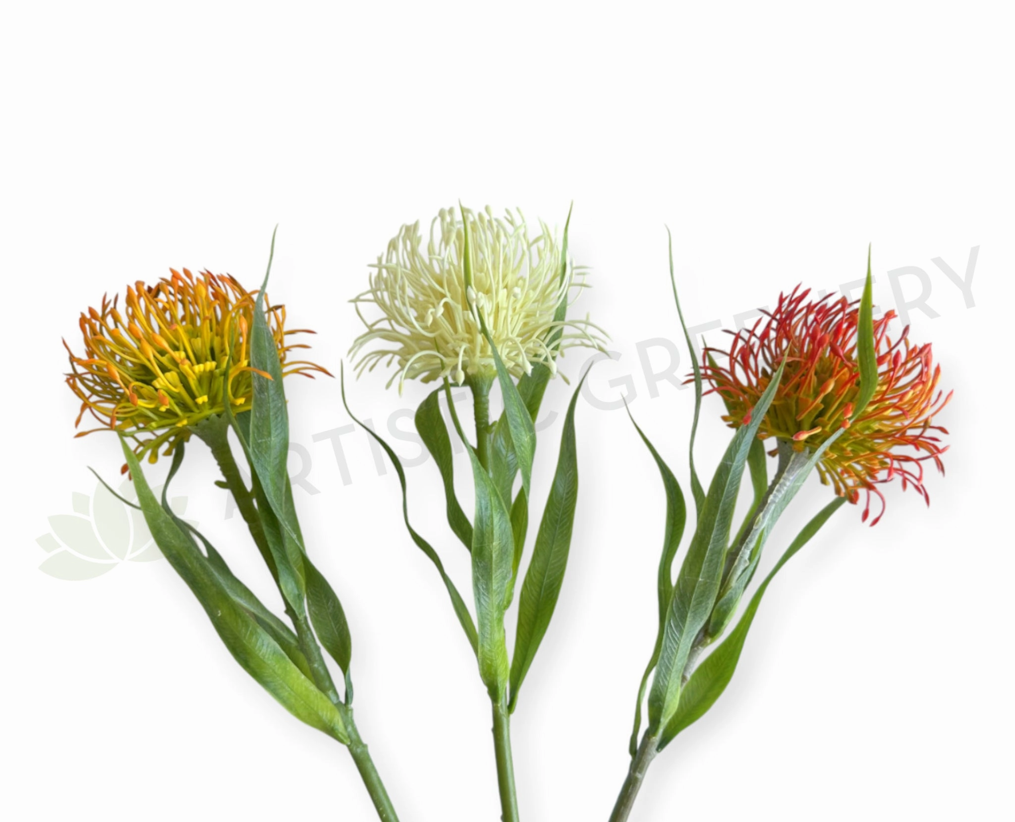 F0360-S92 Pincushion Protea with Leaves 52cm 3 Colours outdoor greenery  