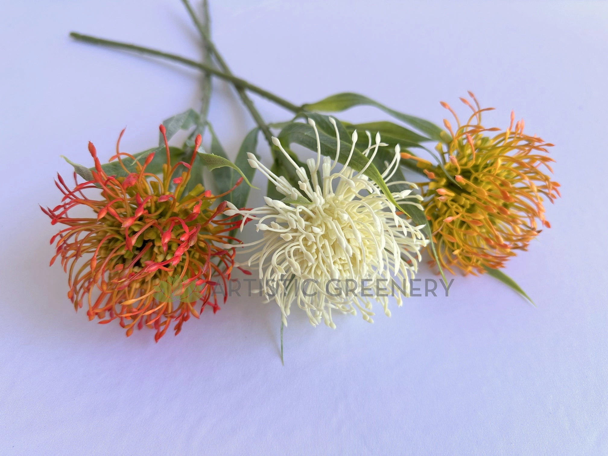 F0360-S92 Pincushion Protea with Leaves 52cm 3 Colours