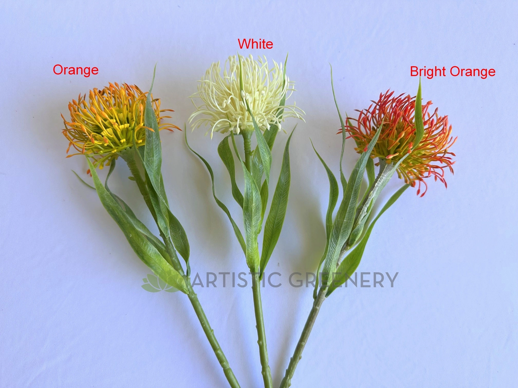 F0360-S92 Pincushion Protea with Leaves 52cm 3 Colours
