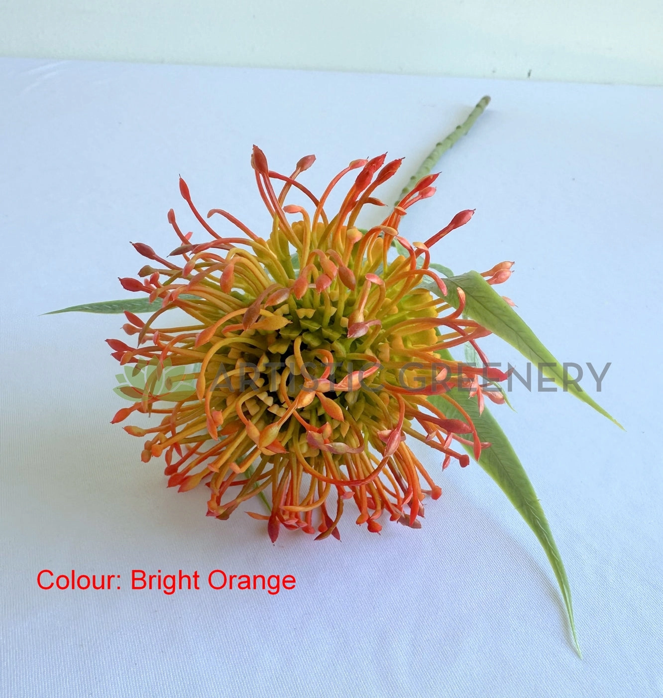F0360-S92 Pincushion Protea with Leaves 52cm 3 Colours