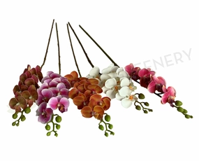 F0361 Phalaenopsis Orchid Spray 65cm 5 Colours outdoor greenery  