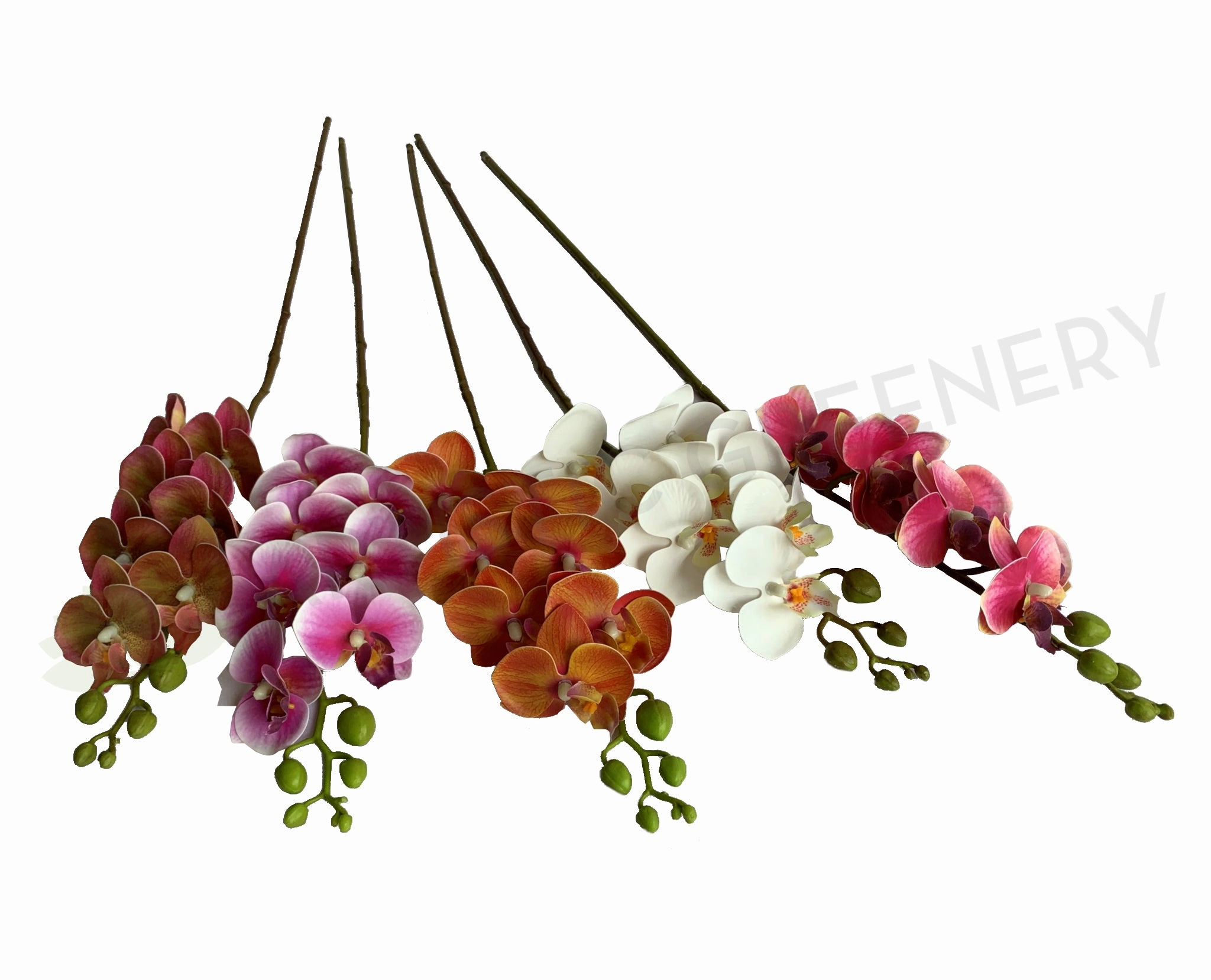 F0361 Phalaenopsis Orchid Spray 65cm 5 Colours outdoor greenery  