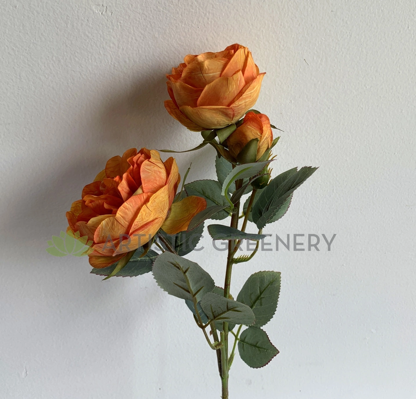 F0362 David Austin Rose Spray 57cm Orange