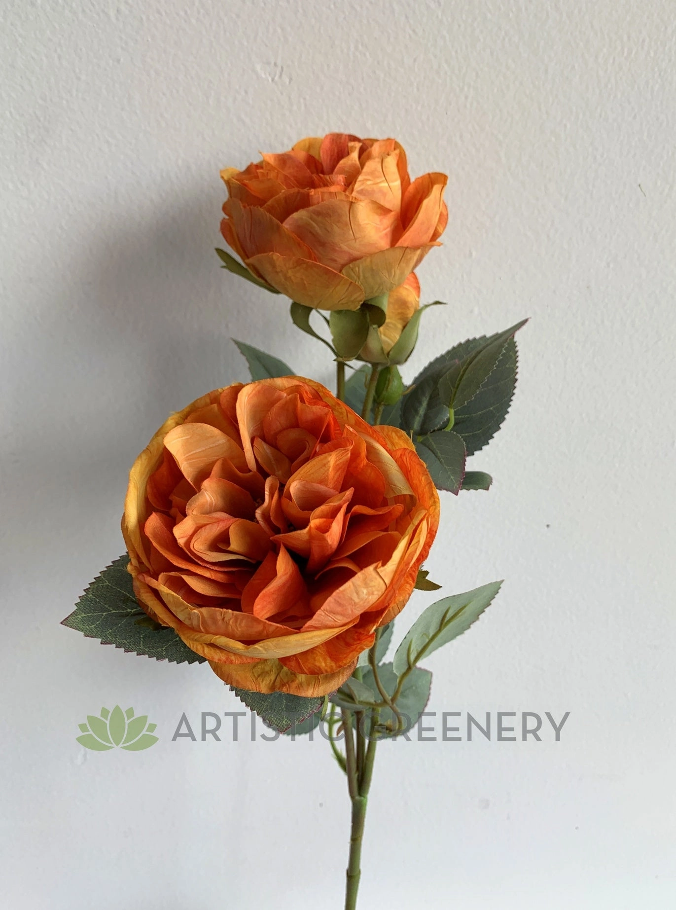 F0362 David Austin Rose Spray 57cm Orange