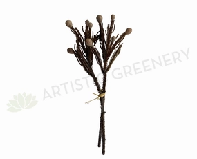 F0364 Brunia Stem 42cm Brown xl flower pot  