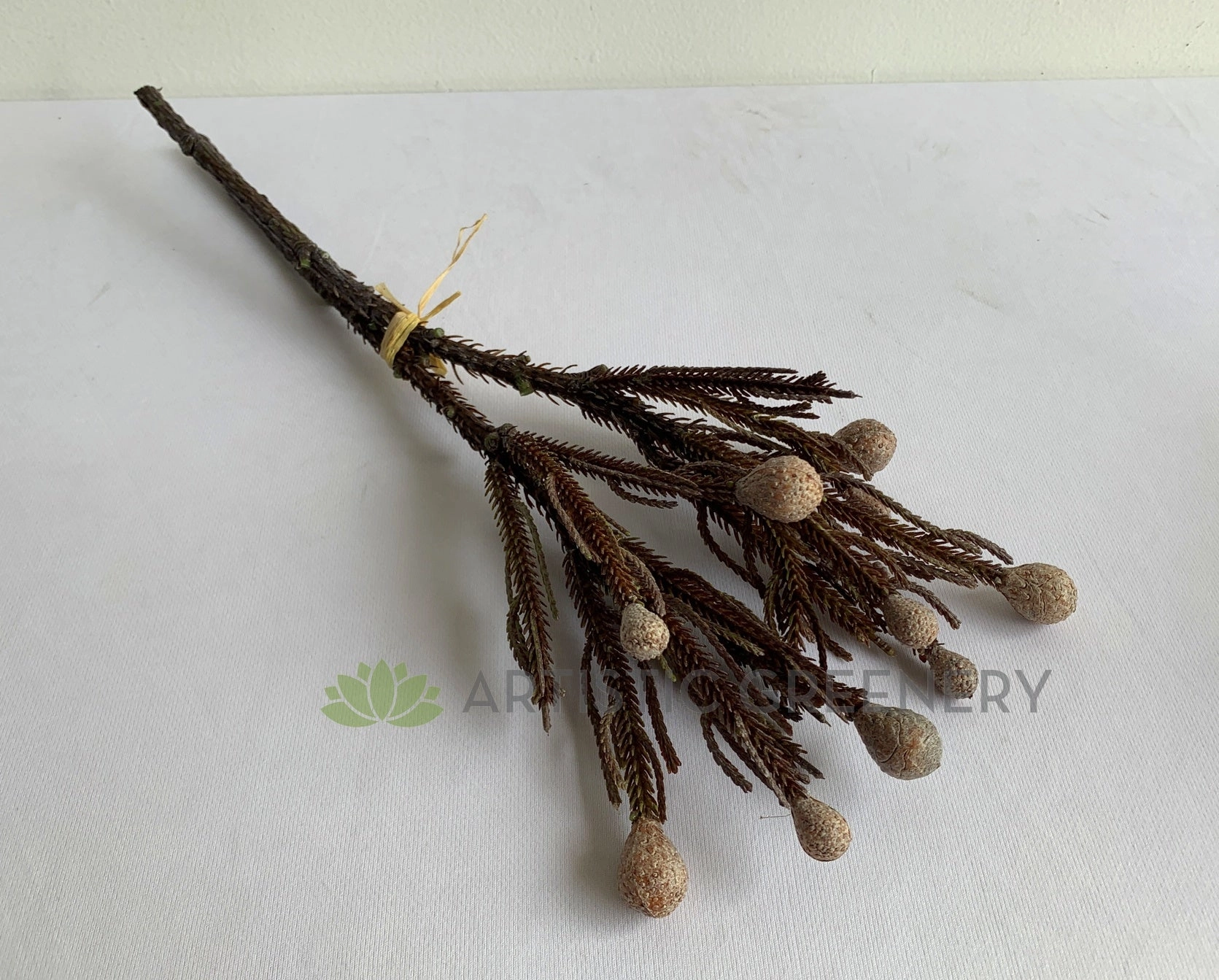 F0364 Brunia Stem 42cm Brown