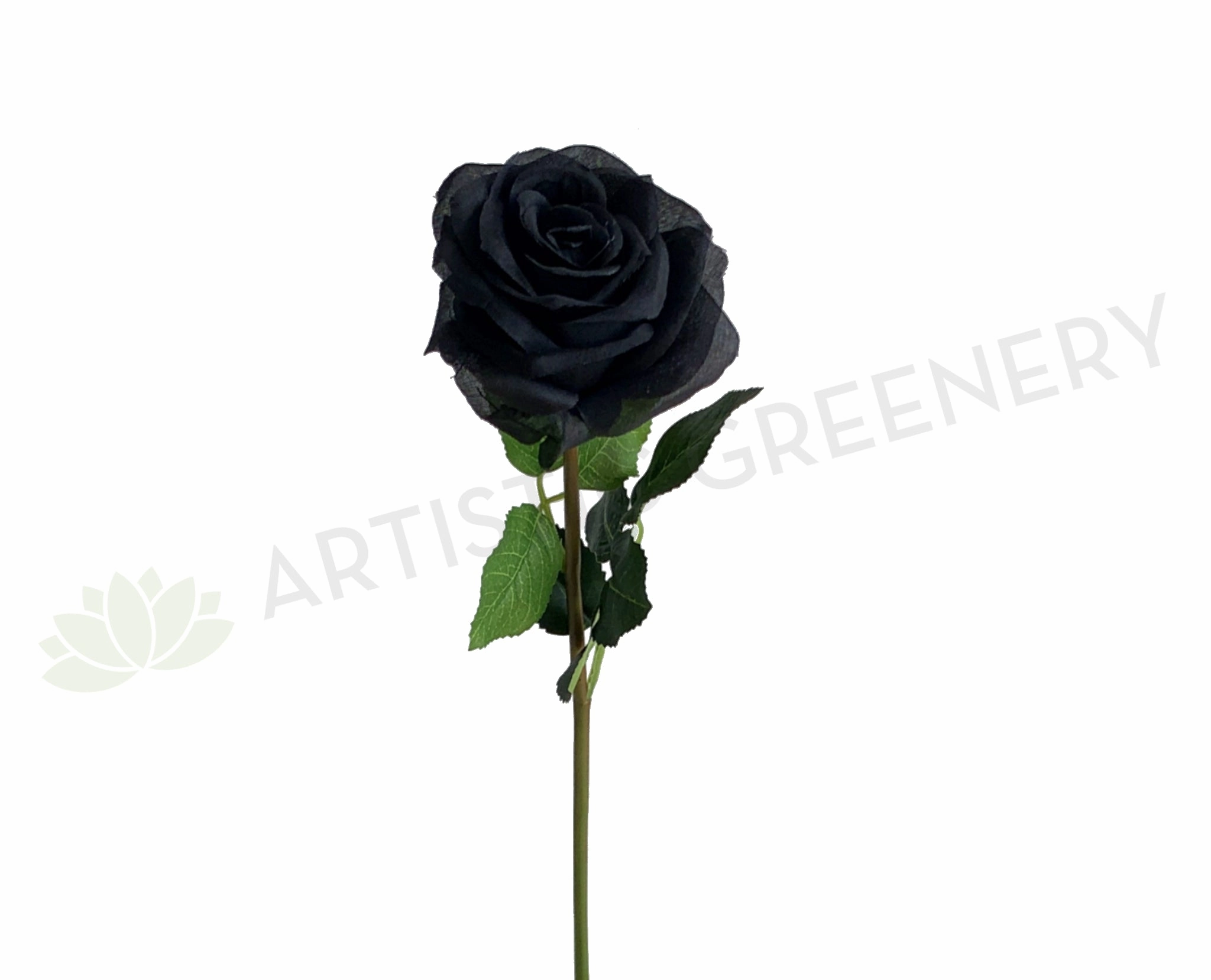 F0370 Black Rose Stem 45cm outdoor greenery  