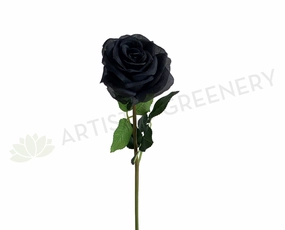 F0370 Black Rose Stem 45cm indoor houseplants  