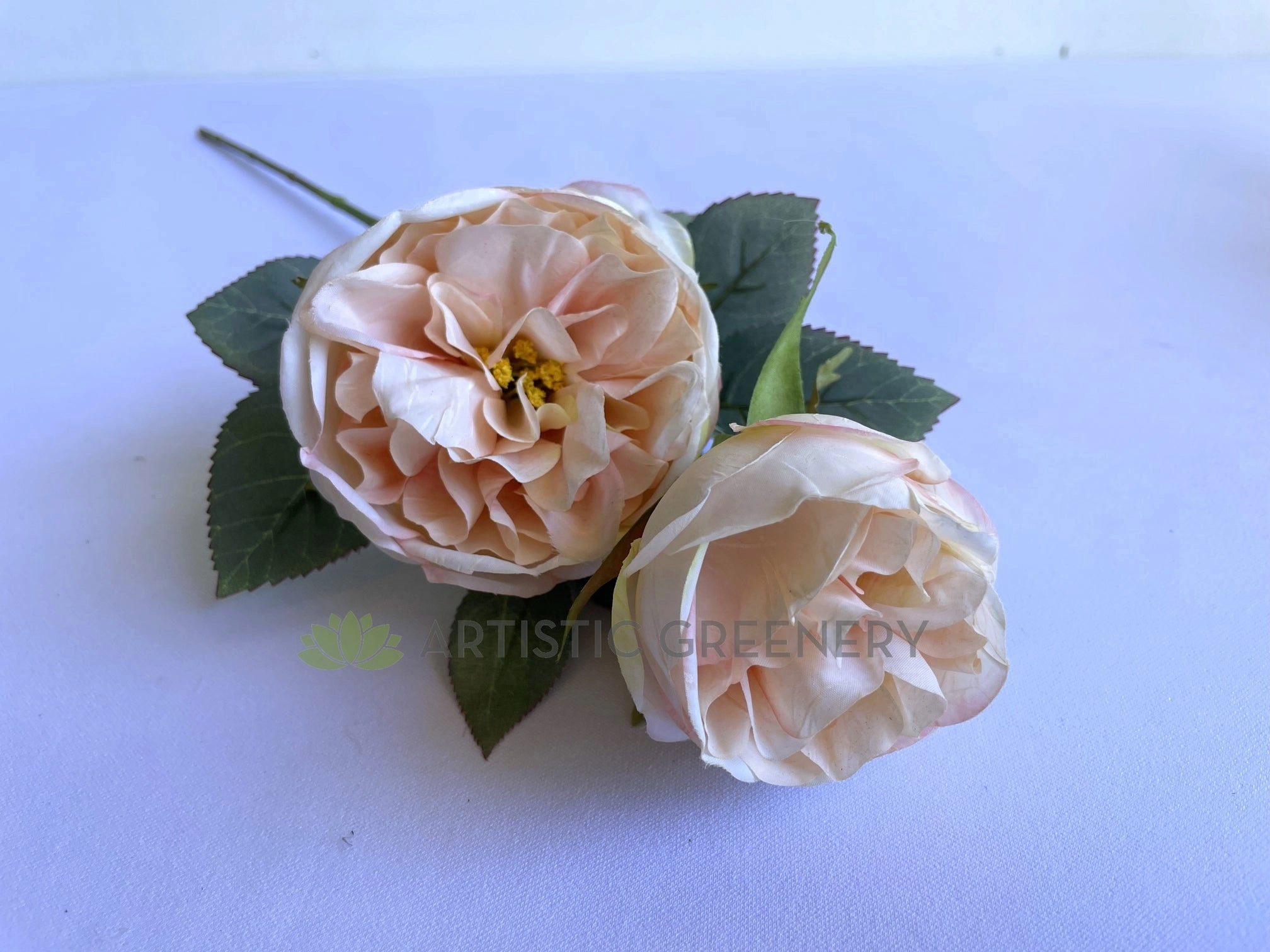 F0378 Rustic David Austin Rose Spray 56cm Blush