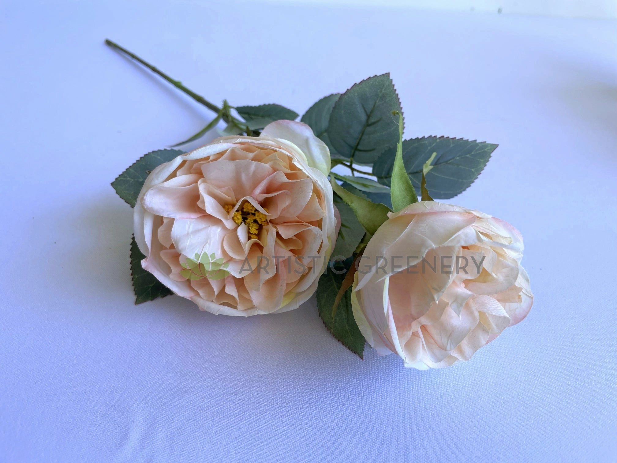 F0378 Rustic David Austin Rose Spray 56cm Blush
