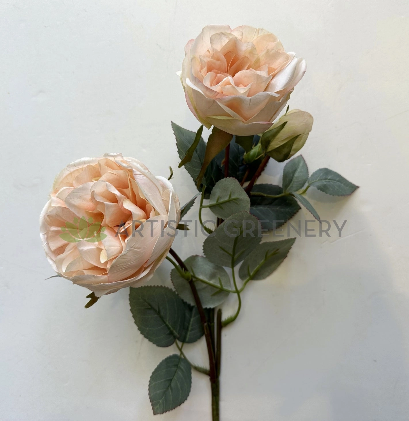 F0378 Rustic David Austin Rose Spray 56cm Blush