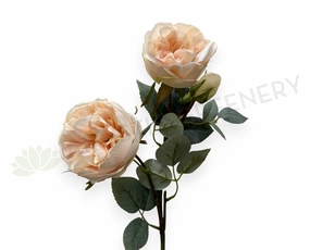 F0378 Rustic David Austin Rose Spray 56cm Blush outdoor greenery  