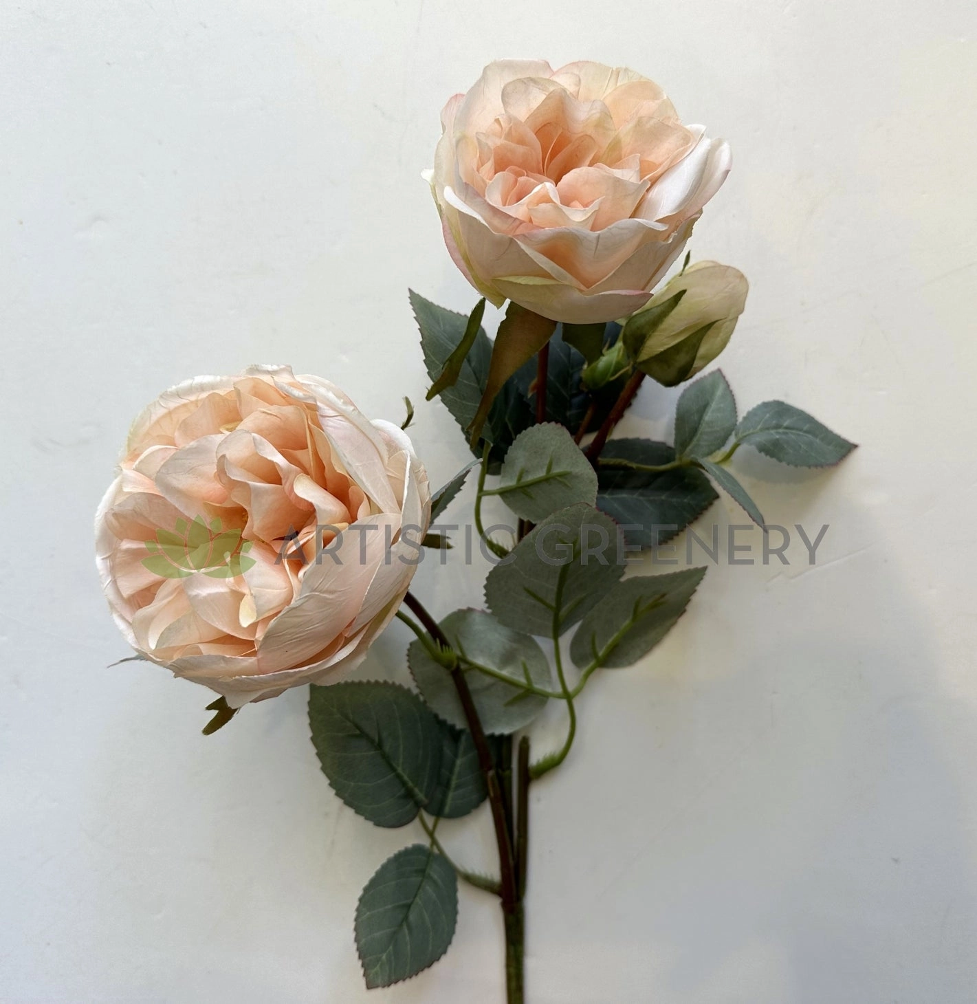 F0378 Rustic David Austin Rose Spray 56cm Blush