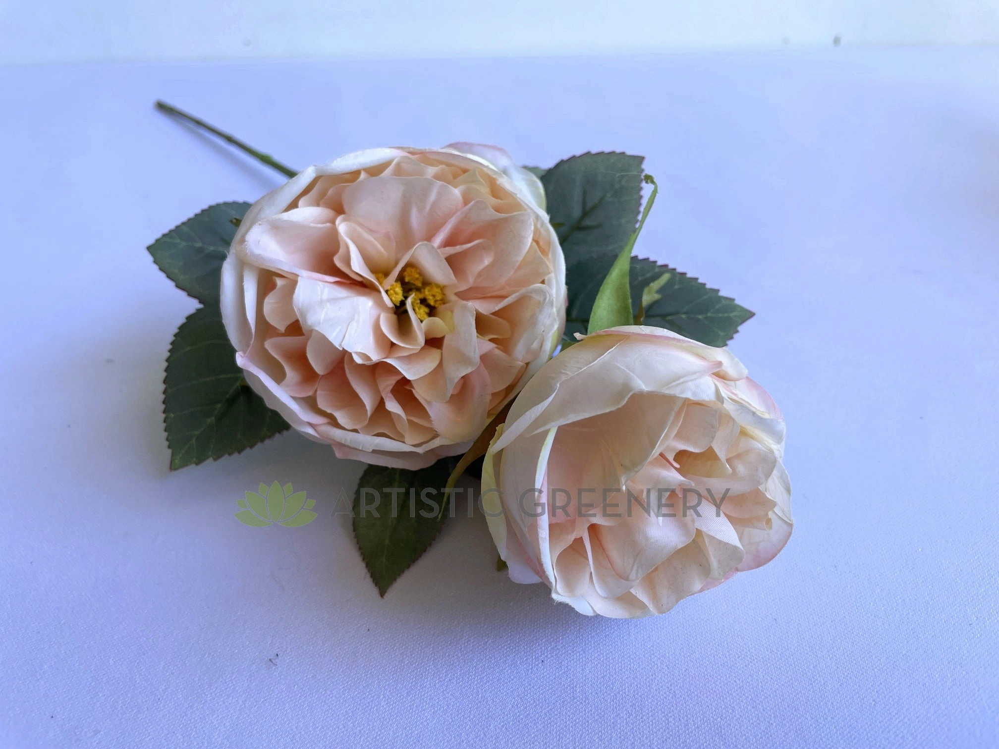 F0378 Rustic David Austin Rose Spray 56cm Blush