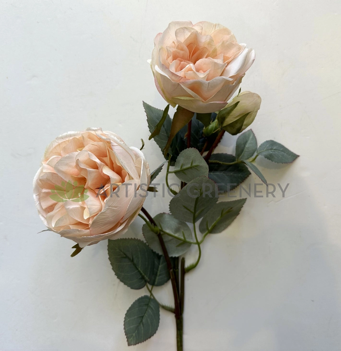 F0378 Rustic David Austin Rose Spray 56cm Blush