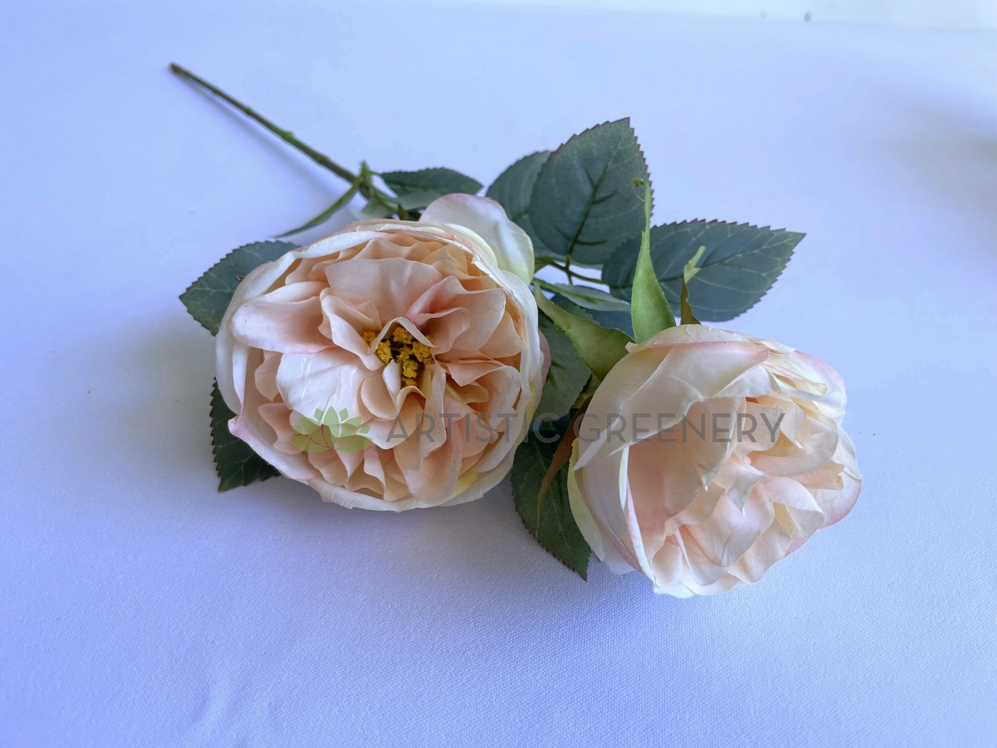 F0378 Rustic David Austin Rose Spray 56cm Blush