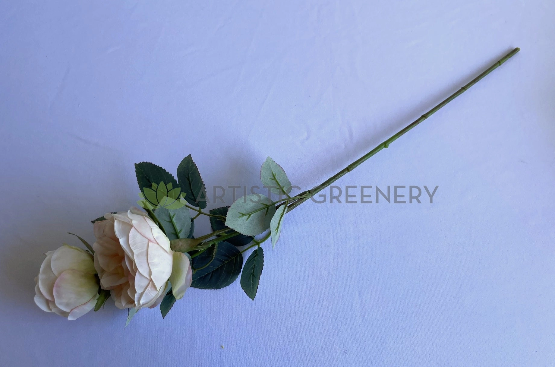 F0378 Rustic David Austin Rose Spray 56cm Blush
