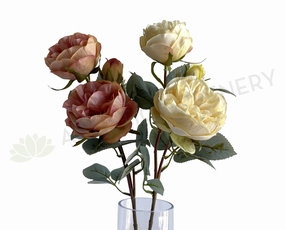 F0378 Rustic David Austin Rose Spray 56cm Cream / Pink outdoor greenery  