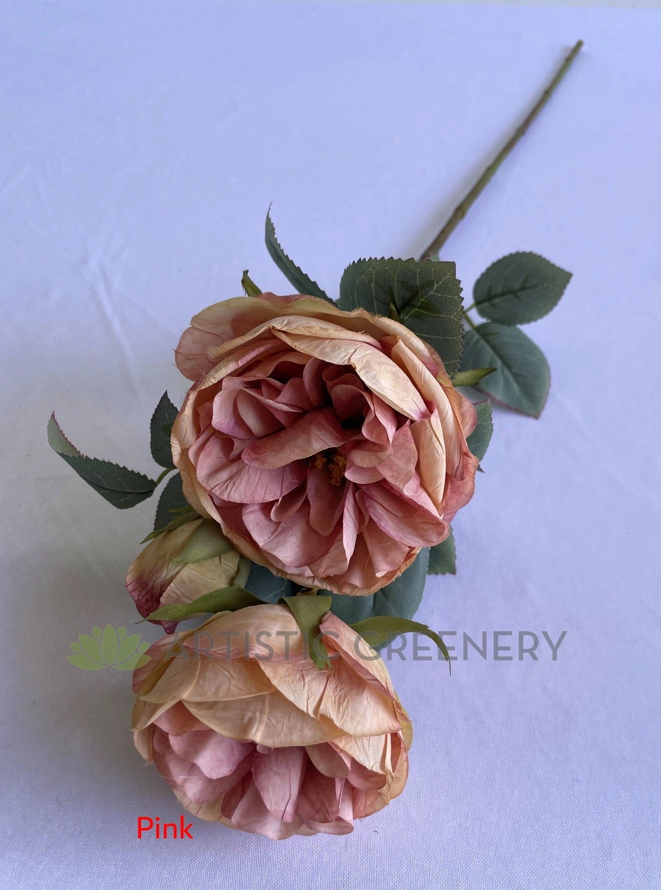 F0378 Rustic David Austin Rose Spray 56cm Cream / Pink