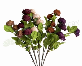 F0382 Rustic Cabbage Rose Spray 70cm 5 Colours outdoor greenery  