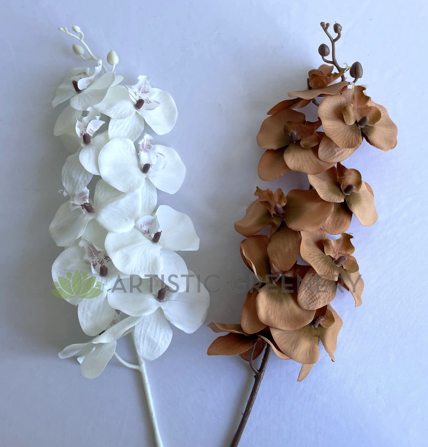 F0383 Rustic Phalaenopsis Orchid Spray 103cm White / Brown