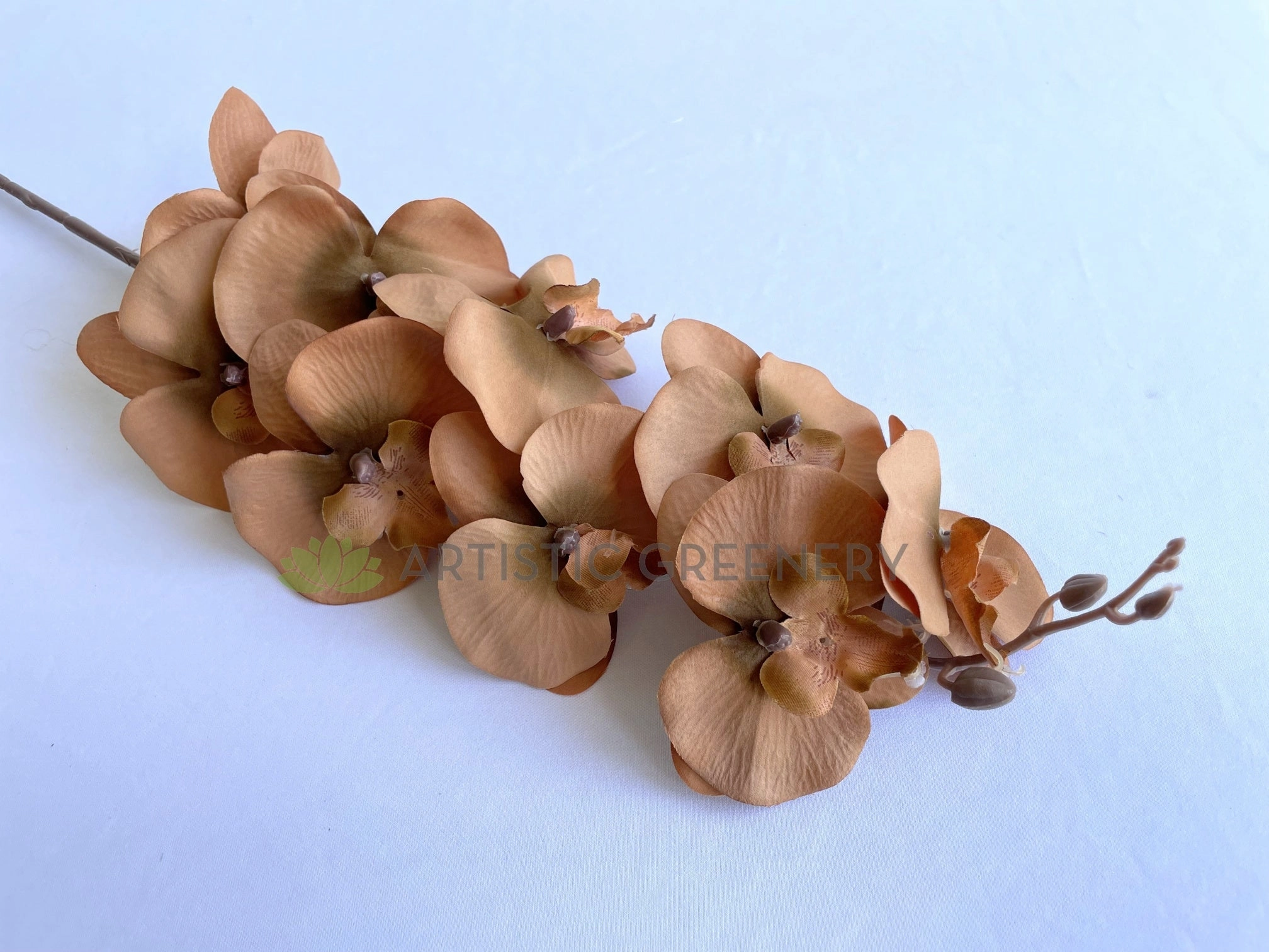 F0383 Rustic Phalaenopsis Orchid Spray 103cm White / Brown