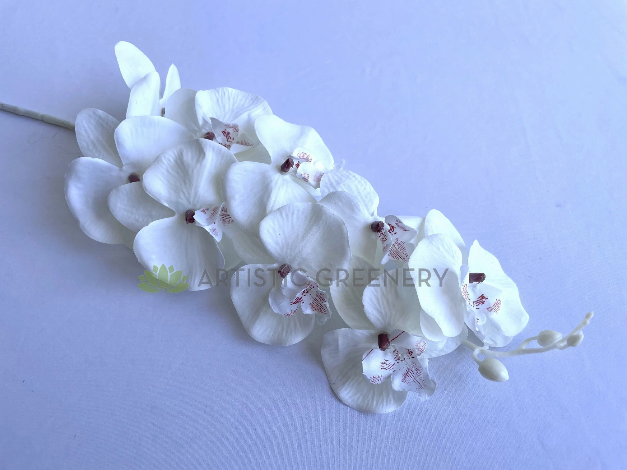 F0383 Rustic Phalaenopsis Orchid Spray 103cm White / Brown
