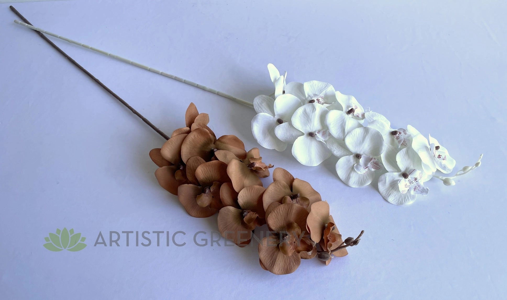 F0383 Rustic Phalaenopsis Orchid Spray 103cm White / Brown