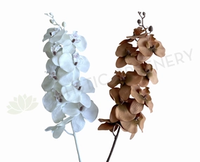 F0383 Rustic Phalaenopsis Orchid Spray 103cm White / Brown outdoor greenery  