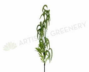 F0384 Green Amaranthus / Amaranth 102cm summer vegetable seed  