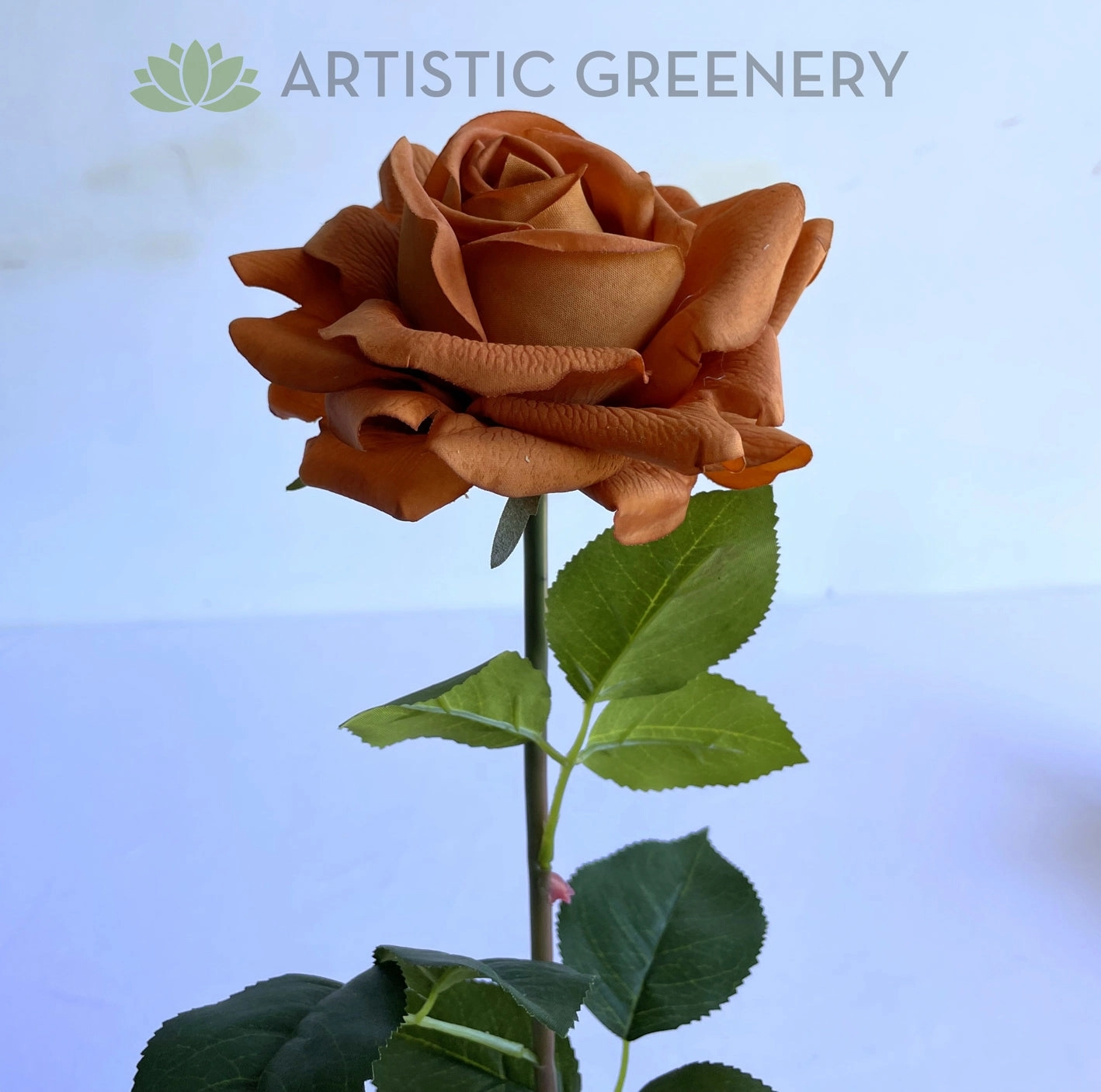 F0391 Latex Single Rose Stem (Open) 75cm Brown