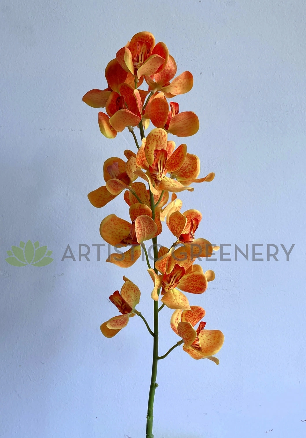 F0392 Mokara Orchid Spray 82cm Orange