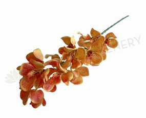 F0392 Mokara Orchid Spray 82cm Orange outdoor greenery  