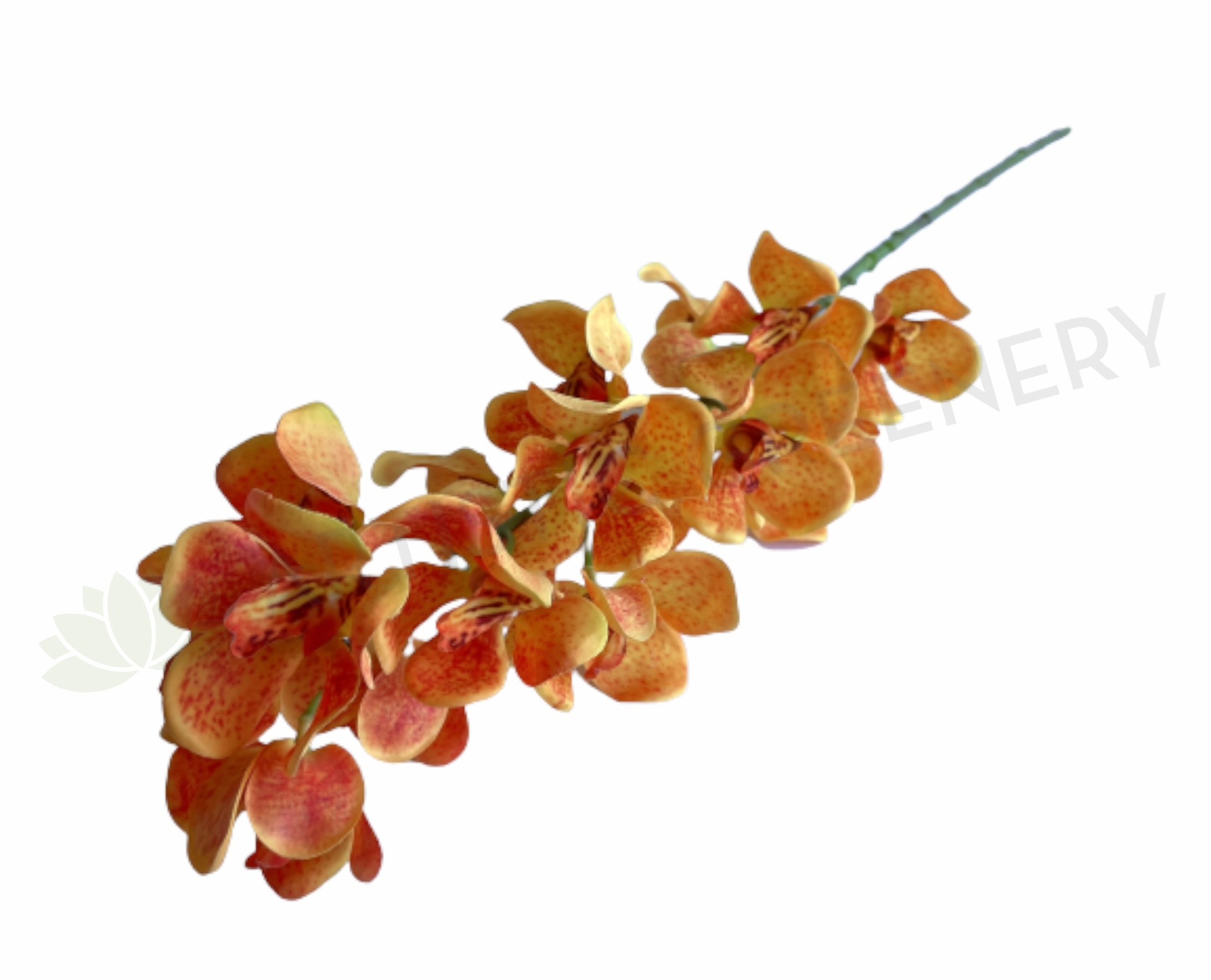 F0392 Mokara Orchid Spray 82cm Orange outdoor greenery  